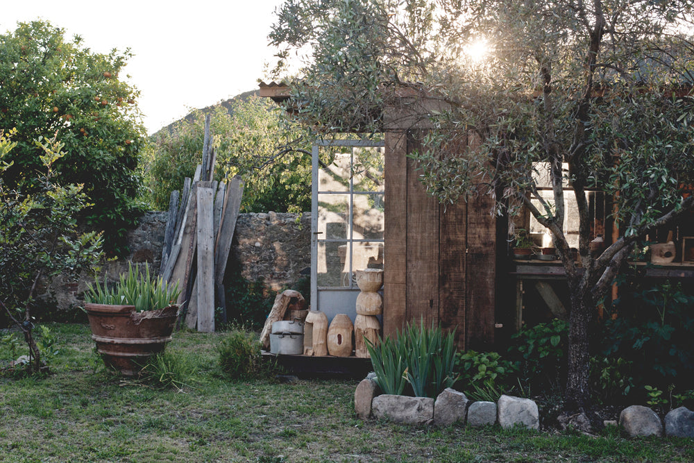 Welcome to Estebanland